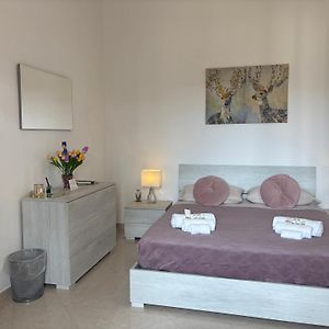 B&B Il Tulipano